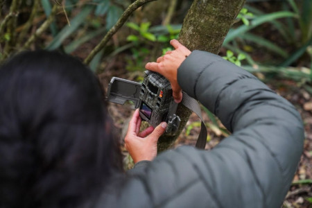 Suman cámaras para observar y monitorear la fauna presente en una reserva natural de la ciudad de Corrientes